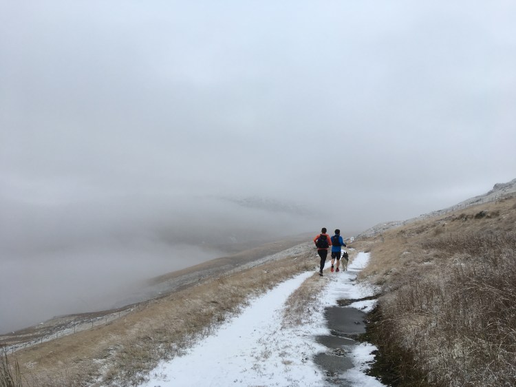 Runners and a dog running away from camera on a snowy track with lots of cloud above