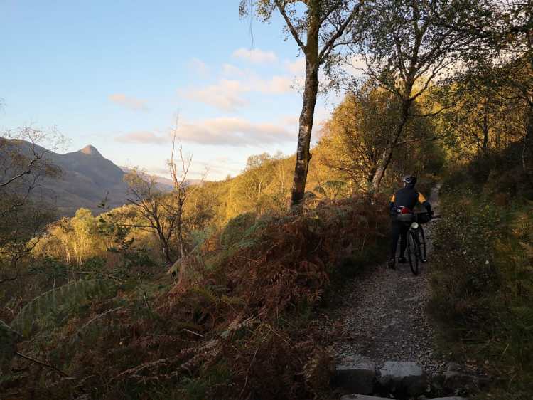 330b0d3d-329c-44c9-ab42-f48100af625b